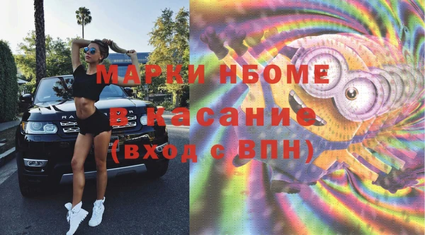 индика Богородицк